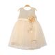 FANCY FROCK BEIGE SEQUINS FLORAL TULLE